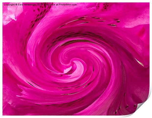  Pink swirl  Print by Sara Messenger