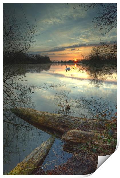 Earlswood Lakes - Warwickshire. Print by Jonathan Smith