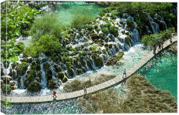 Lower lakes at Plitvice Lakes National Park, Croat Canvas Print by Caroline Opacic