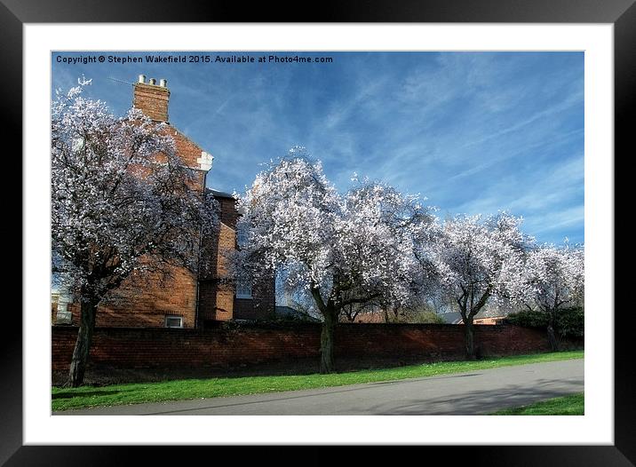  Spring Avenue Framed Mounted Print by Stephen Wakefield