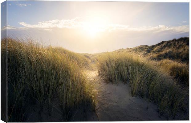 Lost in the Sand Dunes Canvas Print by steve docwra