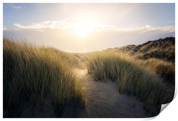 Lost in the Sand Dunes Print by steve docwra