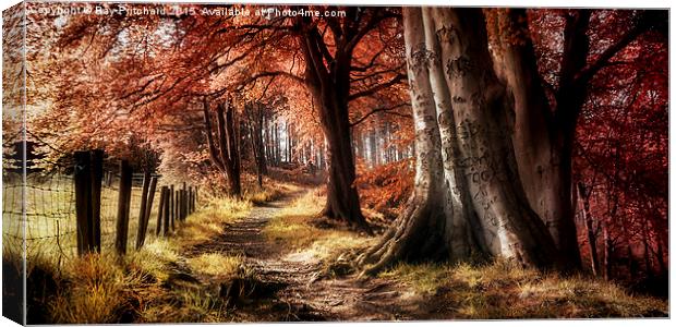Ousbrough Woods  Canvas Print by Ray Pritchard