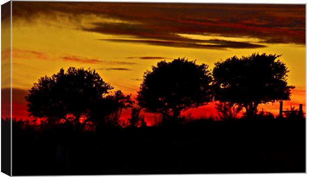  Night fall on the Ranch Canvas Print by Irina Walker