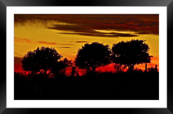  Night fall on the Ranch Framed Mounted Print by Irina Walker