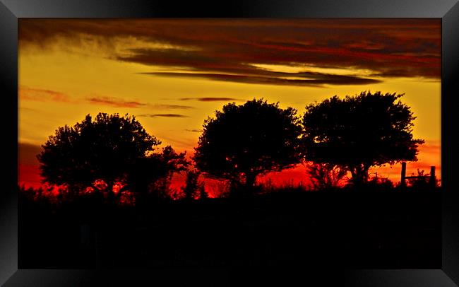  Night fall on the Ranch Framed Print by Irina Walker