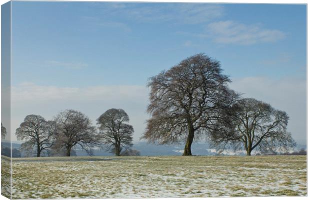  Frosty Trees Canvas Print by Graham Jackson