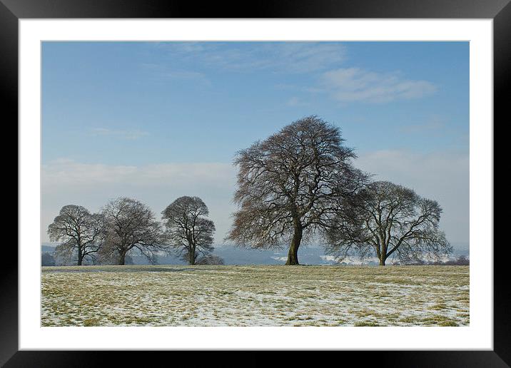  Frosty Trees Framed Mounted Print by Graham Jackson