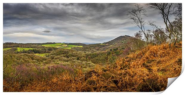 Wrekin View, Telford, Shropshire, England, UK Print by Mark Llewellyn