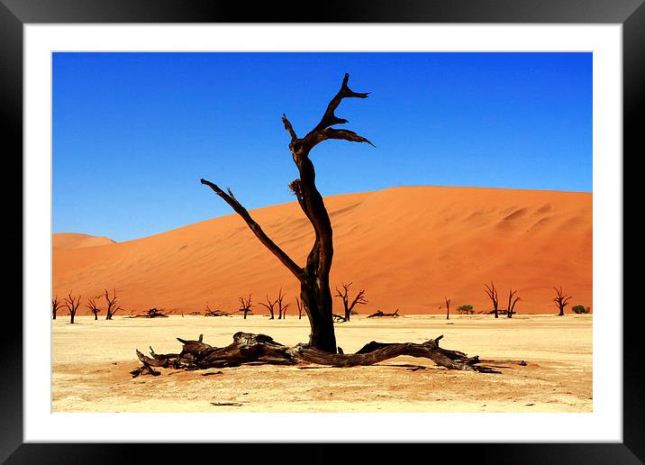 Where Once There Was A Forest - Dead Vlei - Sossus Framed Mounted Print by Aidan Moran