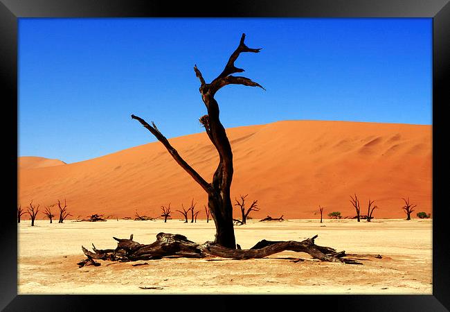Where Once There Was A Forest - Dead Vlei - Sossus Framed Print by Aidan Moran