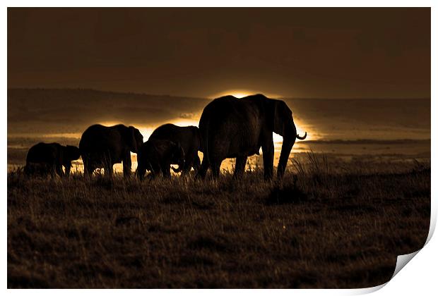  Elephant Herd On The Masai Mara Print by Aidan Moran