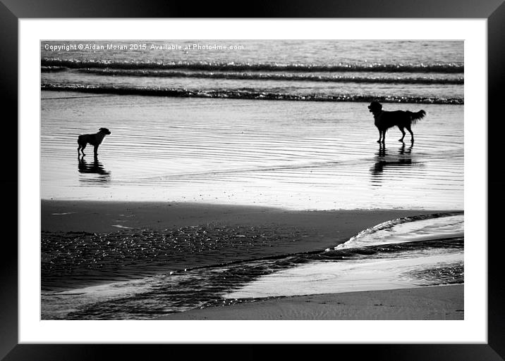  Standoff At The Beach  Framed Mounted Print by Aidan Moran