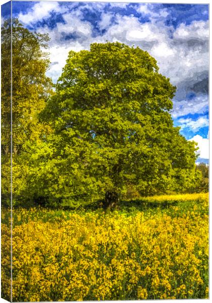 The Farm Tree Art Canvas Print by David Pyatt