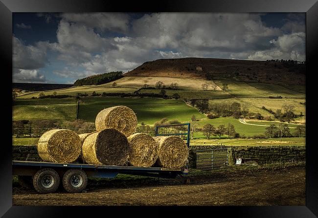  Hay Bales Framed Print by David Oxtaby  ARPS