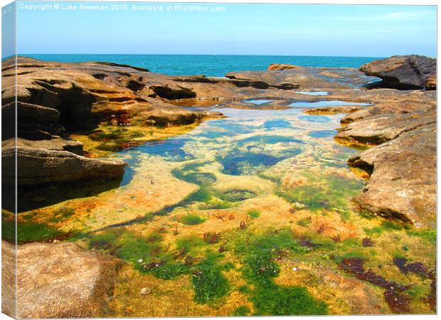  Manly Beach Rockpools Canvas Print by Luke Newman