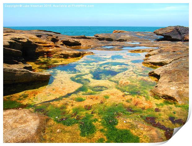  Manly Beach Rockpools Print by Luke Newman