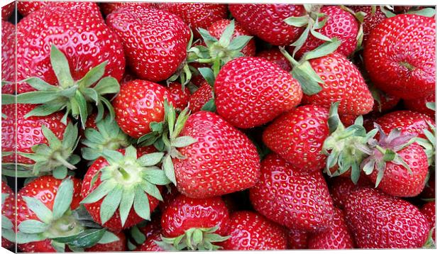  fresh strawberries 2 Canvas Print by Marinela Feier