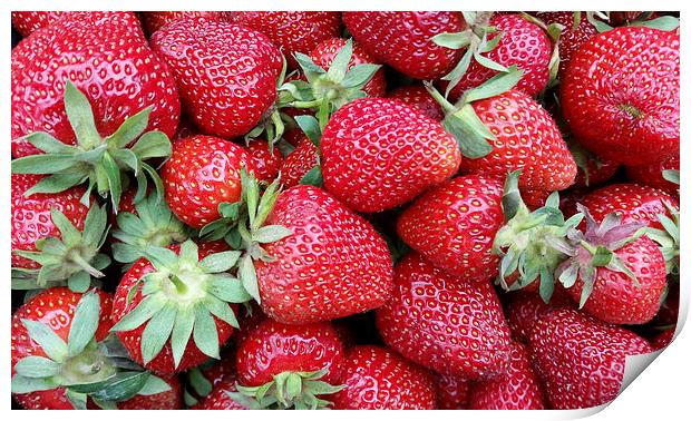 fresh strawberries 2 Print by Marinela Feier
