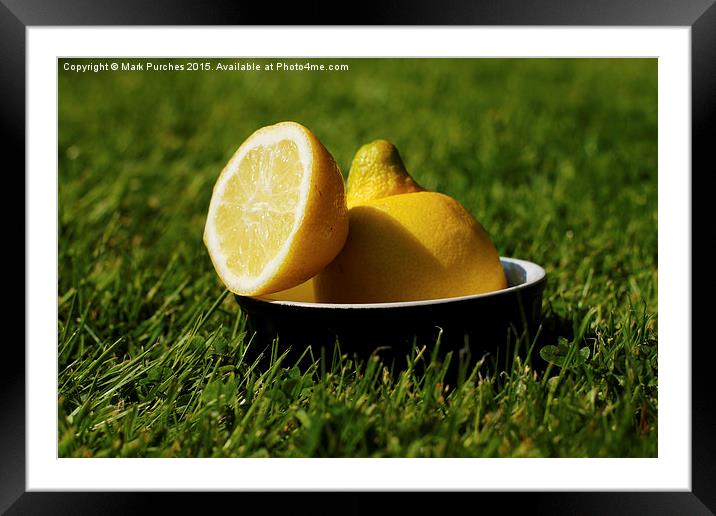 Refreshing Sliced Lemon Outdoors on Grass Framed Mounted Print by Mark Purches