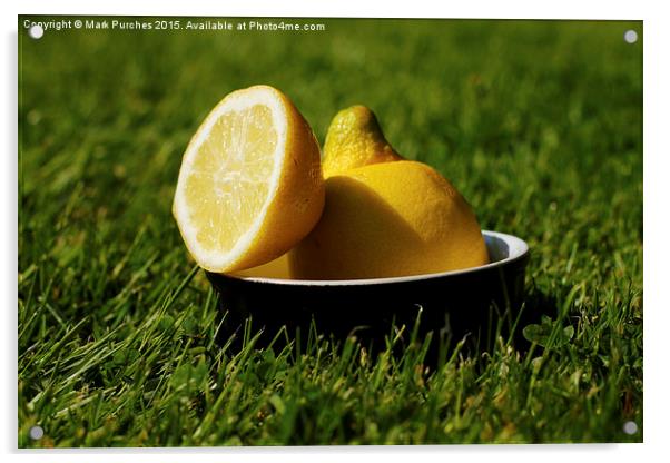Refreshing Sliced Lemon Outdoors on Grass Acrylic by Mark Purches