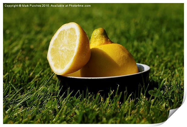 Refreshing Sliced Lemon Outdoors on Grass Print by Mark Purches