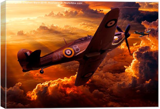  "in for the kill" Canvas Print by Stephen Ward