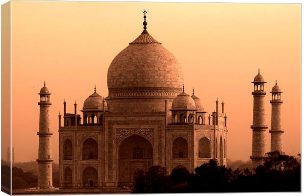  Taj Mahal   Canvas Print by Aidan Moran