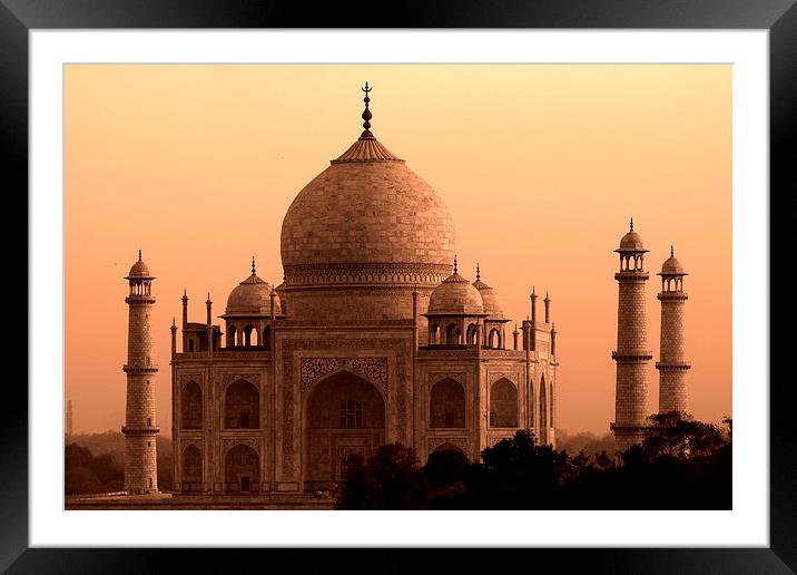  Taj Mahal   Framed Mounted Print by Aidan Moran