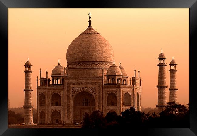  Taj Mahal   Framed Print by Aidan Moran