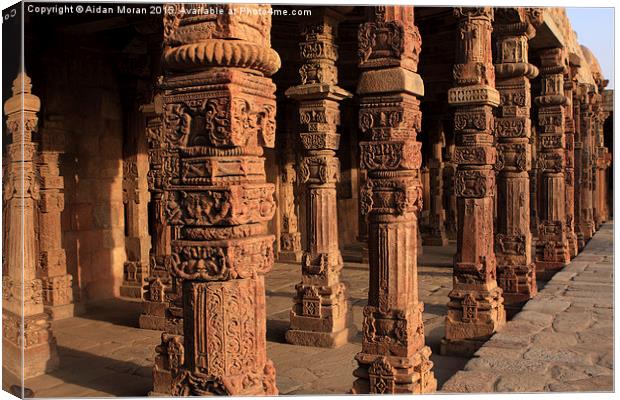  Decorative Pillars Qutab Minar  Canvas Print by Aidan Moran