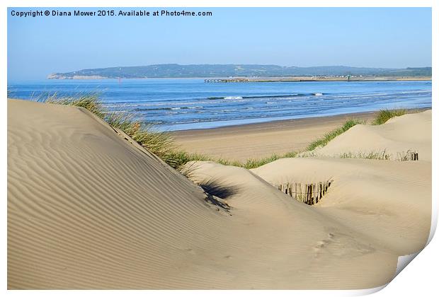  Camber Sands Print by Diana Mower