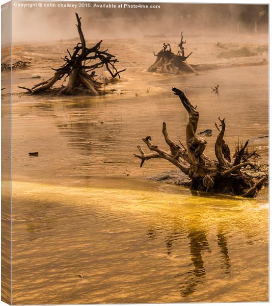  Ethereal Landscape in Yellowstone National Park Canvas Print by colin chalkley