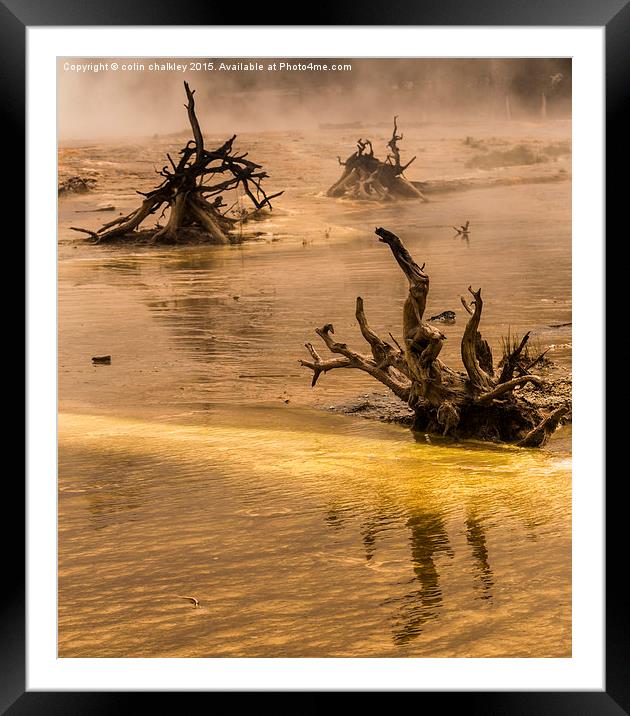 Ethereal Landscape in Yellowstone National Park Framed Mounted Print by colin chalkley