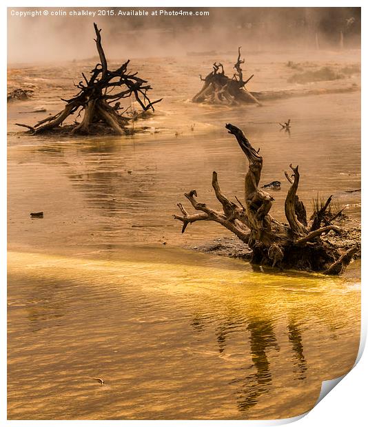  Ethereal Landscape in Yellowstone National Park Print by colin chalkley