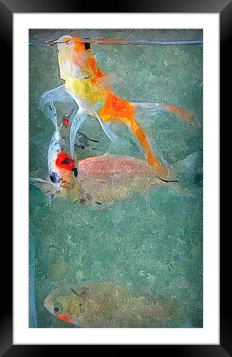  fish life in color Framed Mounted Print by dale rys (LP)