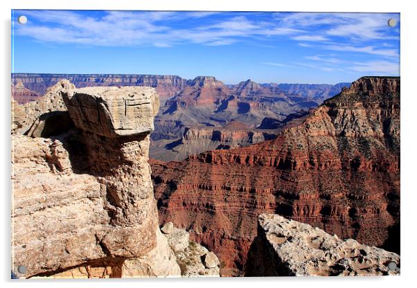  Grand Canyon, South Rim View  Acrylic by Aidan Moran