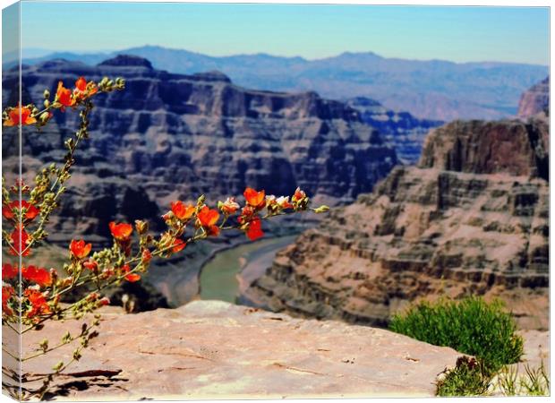  Grand Canyon Guano Point West Rim Canvas Print by Andy Smith