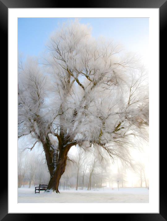  Winter Tree Framed Mounted Print by Svetlana Sewell