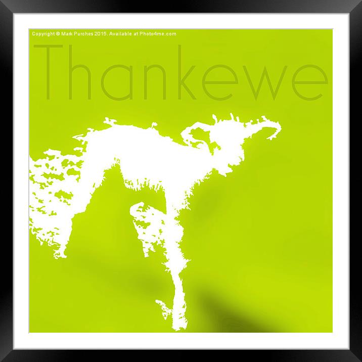 Thank You Greeting Spring Lamb Framed Mounted Print by Mark Purches