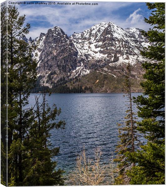  Jenny Lake in the Grand Teton National Park, USA Canvas Print by colin chalkley