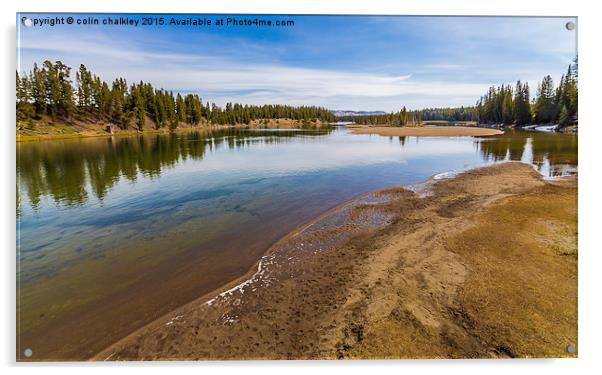 View from the Fishing Bridge - Yellowstone Park Acrylic by colin chalkley