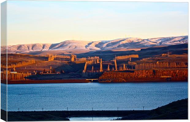  The Columbia River, early Morning Canvas Print by Irina Walker