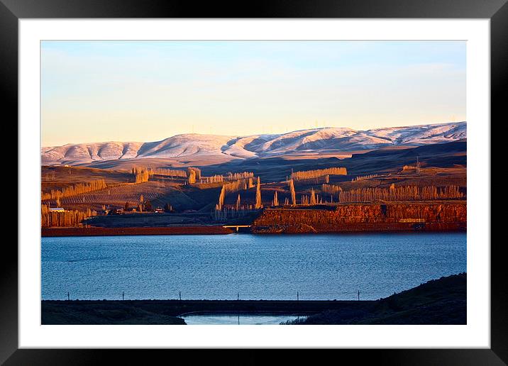  The Columbia River, early Morning Framed Mounted Print by Irina Walker