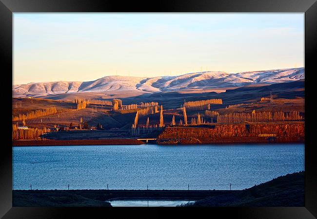  The Columbia River, early Morning Framed Print by Irina Walker