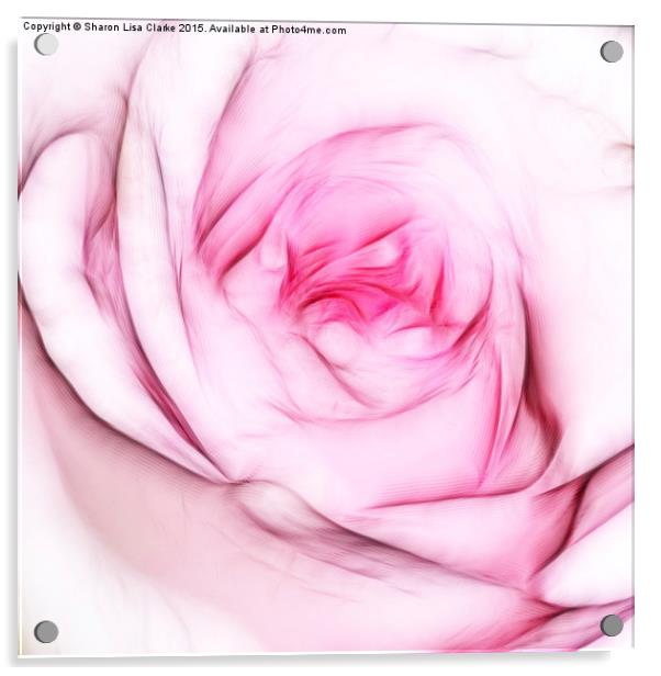  Fresh Rose Acrylic by Sharon Lisa Clarke