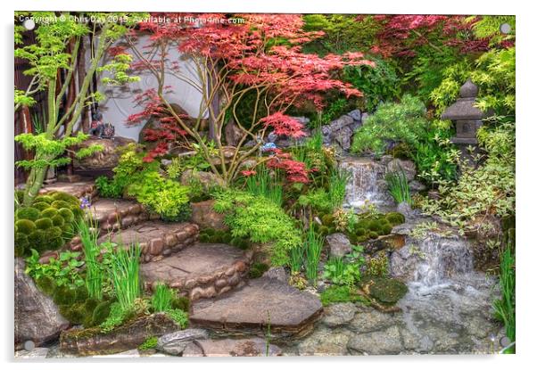 RHS Chelsea Edo No Miwa - Edo Garden Acrylic by Chris Day