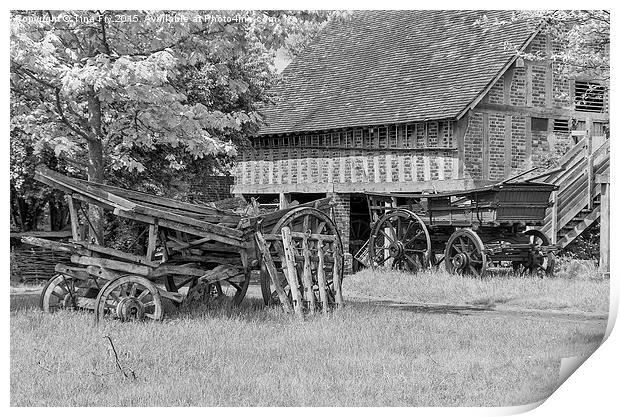 Old farm Wagons  Print by Tina Fry