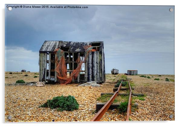 Dungeness  Acrylic by Diana Mower
