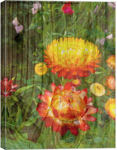  Flowers On Wood. Canvas Print by Robert Gipson